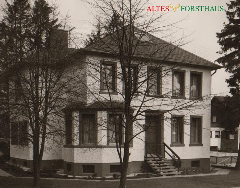 Bed and Breakfast Altes Forsthaus à Manderscheid Extérieur photo
